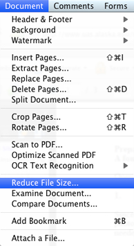 Reduce File Size menu