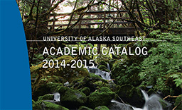 SE Alaska Rainforest Stream
