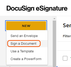 DocuSign New button. Click New and select the second option labled