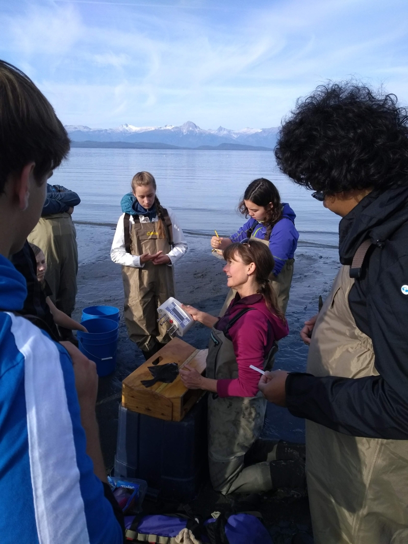 First year STEM students in the field with UAS marine biologist Carolyn Bergstrom. Photo Credit: David Tallmon