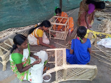 Women in Karnataka, Southern India have joined a program to help adapt to the proliferation of the invasive species Lantana camara by harvesting it to make furniture. (Photo, Tom Thornton))