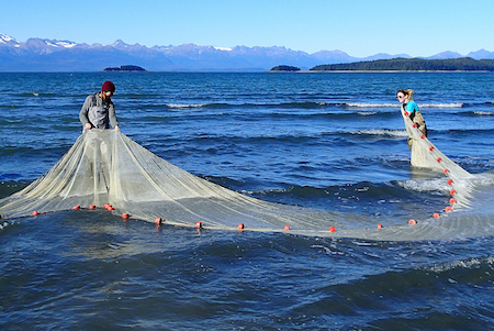 Students pulling in net