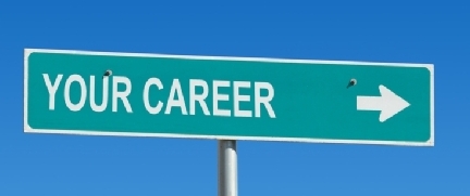 Find Your Niche, Career Tests That Help You Overcome The Paradox Of Choice