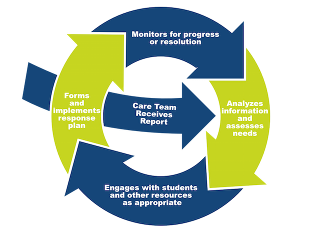 How does the Care Team Work?
